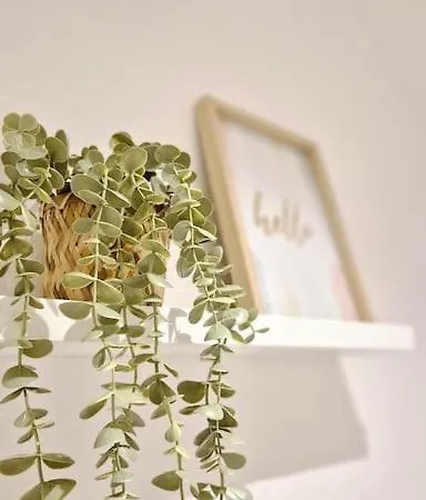 2 Naehe Rhein Mit Verkehrsanbindung * Wiesbaden